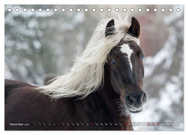 Produktbild: Faszination Kaltblut (Tischkalender 2026 DIN A5 quer), CALVENDO Monatskalender
