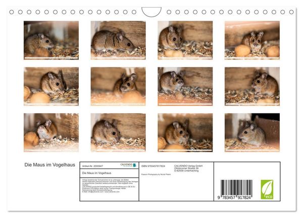 Produktbild: Die Maus im Vogelhaus (Wandkalender 2026 DIN A4 quer), CALVENDO Monatskalender