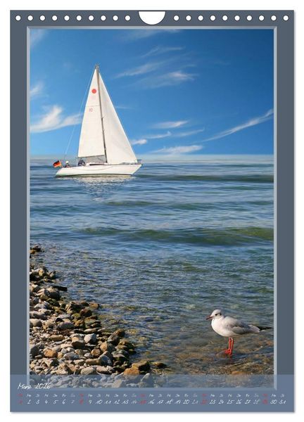 Produktbild: Der Maritime aus Mausopardia (Wandkalender 2026 DIN A4 hoch), CALVENDO Monatskalender
