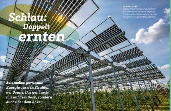 Produktbild: WAS IST WAS Grüne Energie. Power für die Zukunft