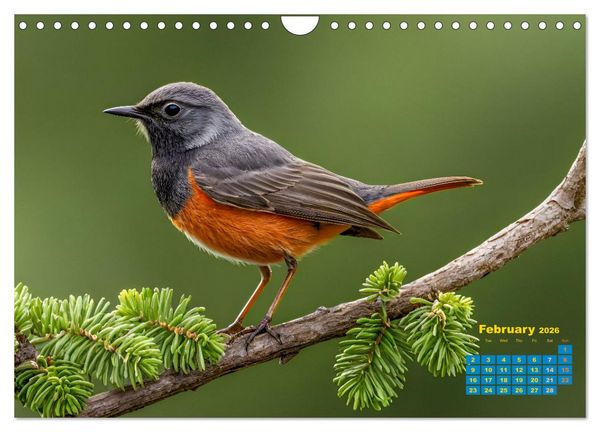 Produktbild: Singers from our regions - Our intimate nature (Wall Calendar 2026 DIN A4 landscape), CALVENDO 12 Month Wall Calendar