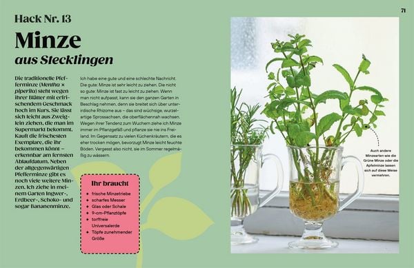 Produktbild: Regrow