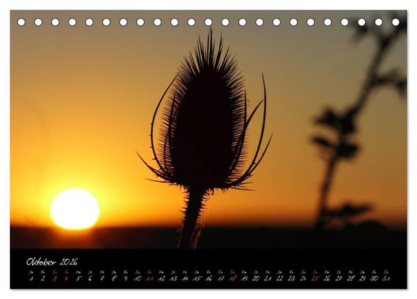 Produktbild: Zeit der Natur - Ein Augenblick zur Ewigkeit (Tischkalender 2026 DIN A5 quer), CALVENDO Monatskalender