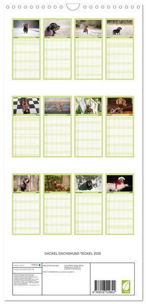 Produktbild: Familienplaner 2026 - DACKEL DACHSHUND TECKEL 2026 mit 5 Spalten (Wandkalender, 21 x 45 cm) CALVENDO