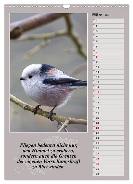Produktbild: Schwanzmeisen, die niedlichen kleinen Pfannenstielchen (Wandkalender 2026 DIN A3 hoch), CALVENDO Monatskalender