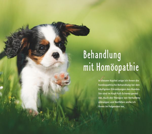 Produktbild: Hom&ouml;opathie f&uuml;r Hunde