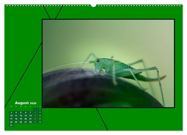 Produktbild: Heilende Farbe Gr&uuml;n (hochwertiger Premium Wandkalender 2026 DIN A2 quer), Kunstdruck in Hochglanz