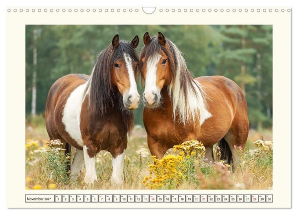 Produktbild: Irish Tinker Liebe. Der robuste Charme der Gypsy Cobs (Wandkalender 2027 DIN A3 quer), CALVENDO Monatskalender
