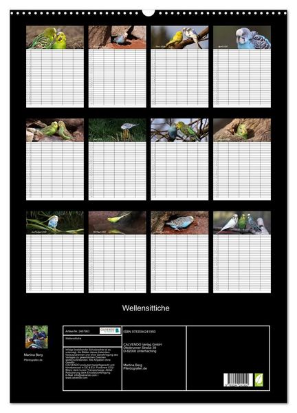 Produktbild: Wellensittiche (Wandkalender 2027 DIN A2 hoch), CALVENDO Monatskalender
