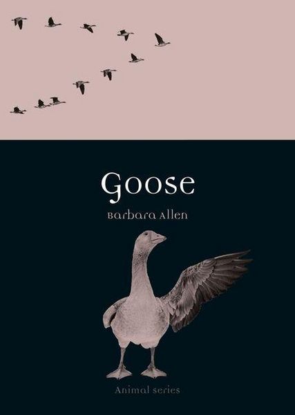 Produktbild: Goose