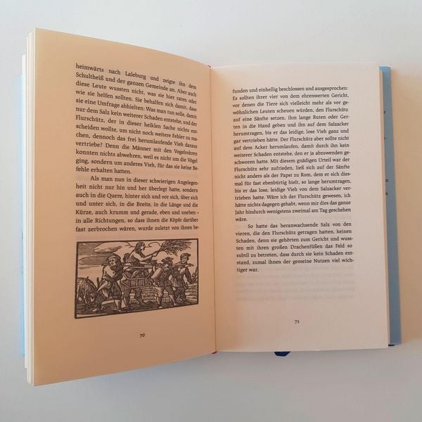 Produktbild: Das Lalebuch