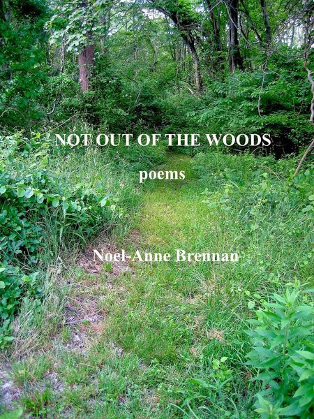 Produktbild: Not Out of the Woods: Poems