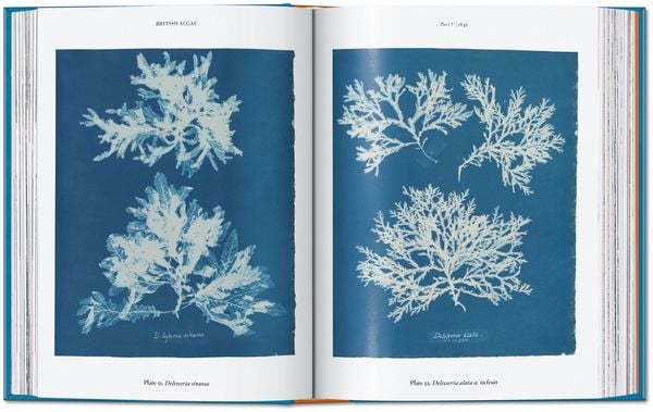 Produktbild: Anna Atkins
