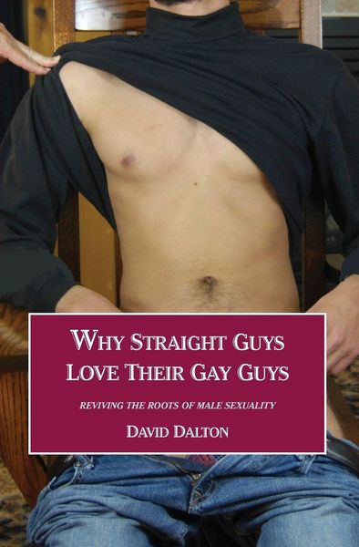 Produktbild: Why Straight Guys Love Their Gay Guys