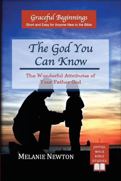 Produktbild: The God You Can Know
