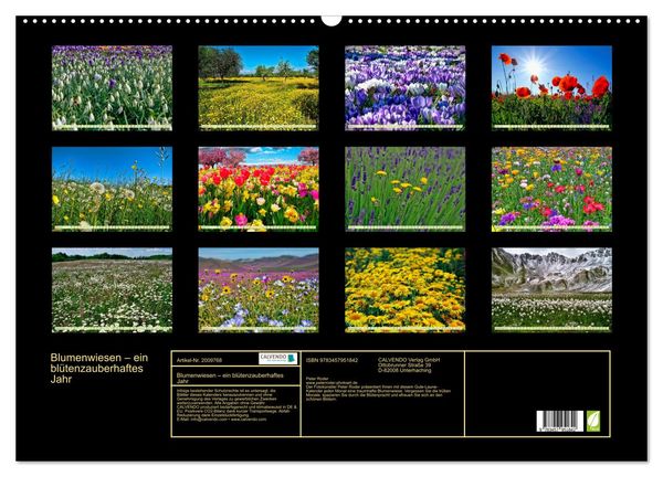 Produktbild: Blumenwiesen &ndash; ein bl&uuml;tenzauberhaftes Jahr (Wandkalender 2026 DIN A2 quer), CALVENDO Monatskalender