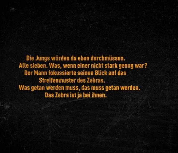 Produktbild: Im Auge des Zebras