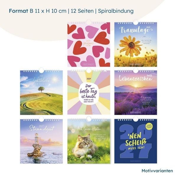 Produktbild: Postkartenkalender 2027 Auf leisen Pfoten