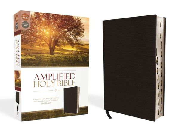 Produktbild: Amplified-Am