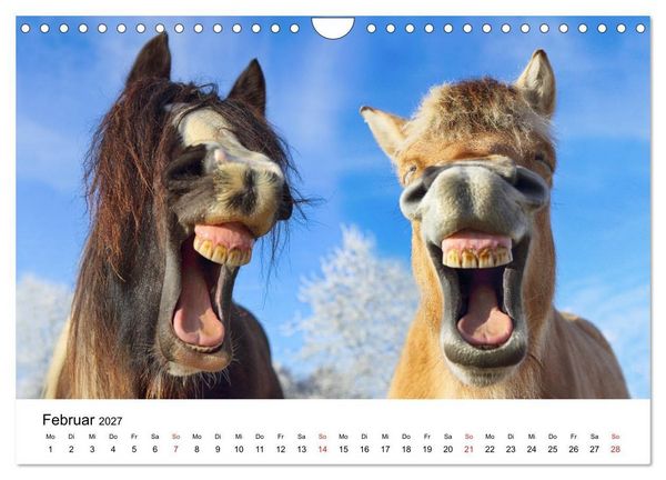 Produktbild: lach mit...just smile (Wandkalender 2027 DIN A4 quer), CALVENDO Monatskalender