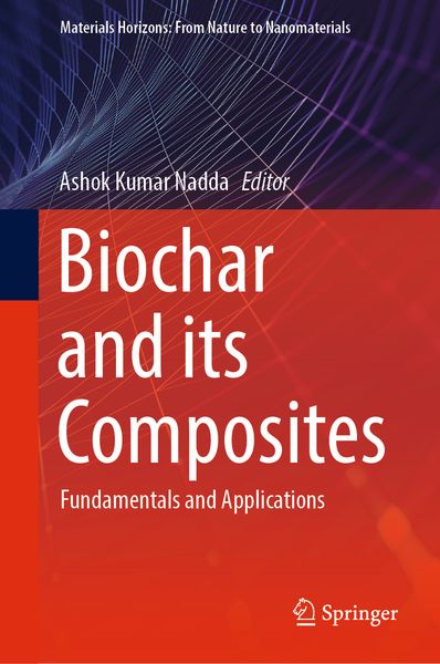 Produktbild: Biochar and its Composites