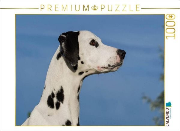 CALVENDO Puzzle Dalmatiner Porträt | 1000 Teile Lege-Größe 64x48cm Foto-Puzzle für glückliche Stunden