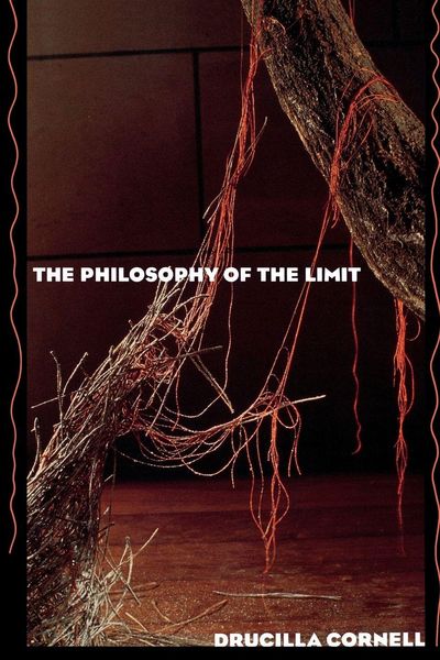 Produktbild: The Philosophy of the Limit