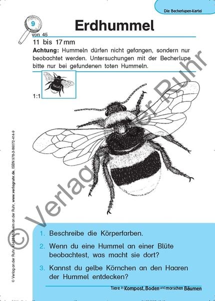 Produktbild: Tiere in Kompost, Boden und morschen B&auml;umen