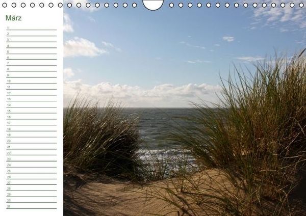 Produktbild: Sylter D&uuml;nen (Wandkalender immerw&auml;hrend DIN A4 quer)