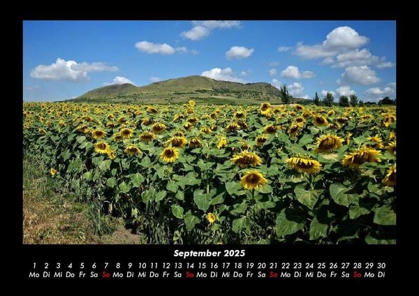 Produktbild: Pflanzen und Bl&uuml;ten 2025 Fotokalender DIN A3