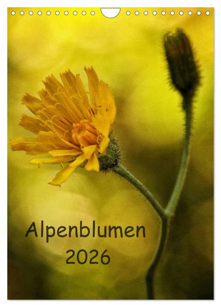 Produktbild: Alpenblumen 2026 (Wandkalender 2026 DIN A4 hoch), CALVENDO Monatskalender