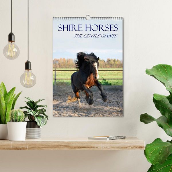 Produktbild: Shire Horses The Gentle Giants (Wall Calendar 2026 DIN A3 portrait), CALVENDO 12 Month Wall Calendar