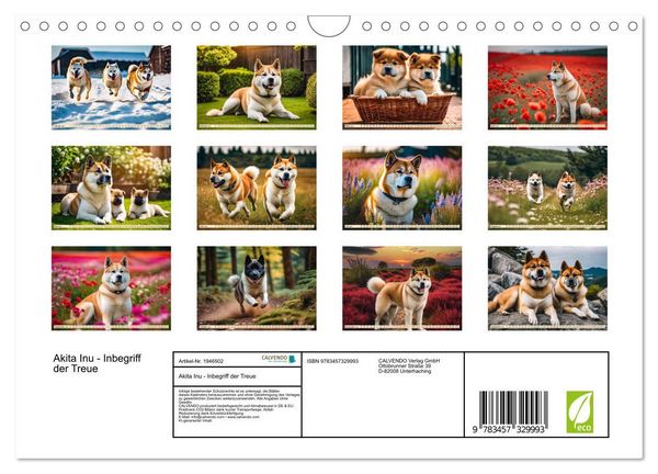 Produktbild: Akita Inu - Inbegriff der Treue (Wandkalender 2026 DIN A4 quer), CALVENDO Monatskalender