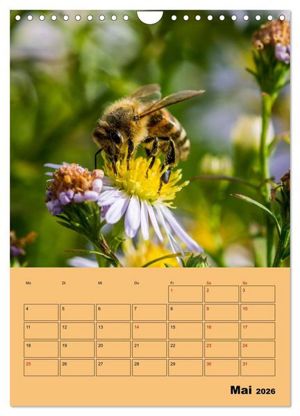 Produktbild: Die Biene und die Farbe gelb (Wandkalender 2026 DIN A4 hoch), CALVENDO Monatskalender