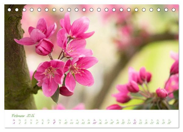 Produktbild: Kreislehrgarten in Steinfurt (Tischkalender 2026 DIN A5 quer), CALVENDO Monatskalender