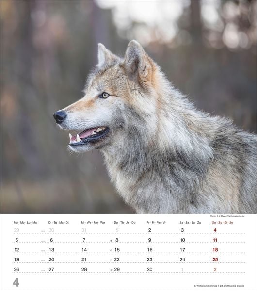 Produktbild: Mythos Wolf 2027