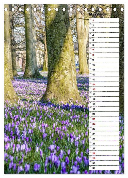 Produktbild: Westk&uuml;ste - Zwischen St. Peter Ording, B&uuml;sum und Elbe (Tischkalender 2026 DIN A5 hoch), CALVENDO Monatskalender