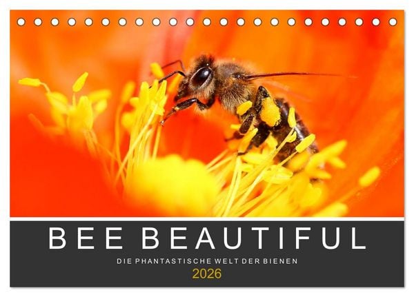 Bee Beautiful - Die phantastische Welt der Bienen (Tischkalender 2026 DIN A5 quer), CALVENDO Monatskalender