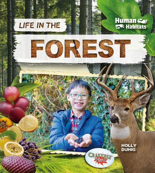 Produktbild: Life in the Forest