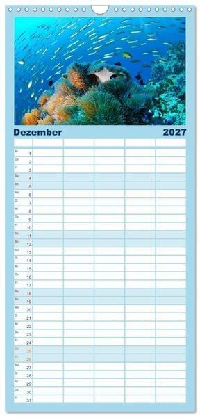 Produktbild: Familienplaner 2027 - Abenteuer Riff - bunte Unterwasserwelt mit 5 Spalten (Wandkalender, 21 x 45 cm) CALVENDO