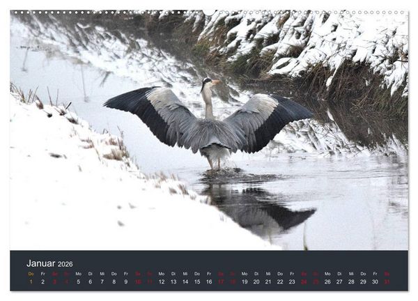 Produktbild: Heimat im Bremer Blockland (Wandkalender 2026 DIN A2 quer), CALVENDO Monatskalender