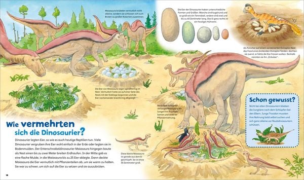 Produktbild: WAS IST WAS Junior Band 3. Dinosaurier