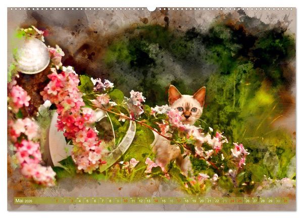 Produktbild: Katzenkalender mausgemalt (hochwertiger Premium Wandkalender 2026 DIN A2 quer), Kunstdruck in Hochglanz