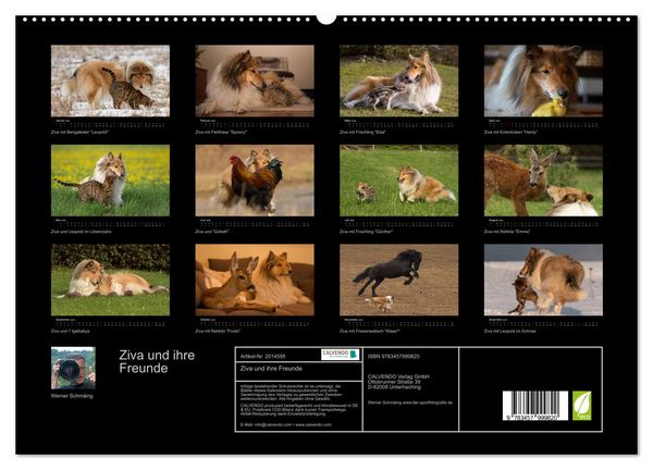 Produktbild: Ziva und ihre Freunde (hochwertiger Premium Wandkalender 2026 DIN A2 quer), Kunstdruck in Hochglanz