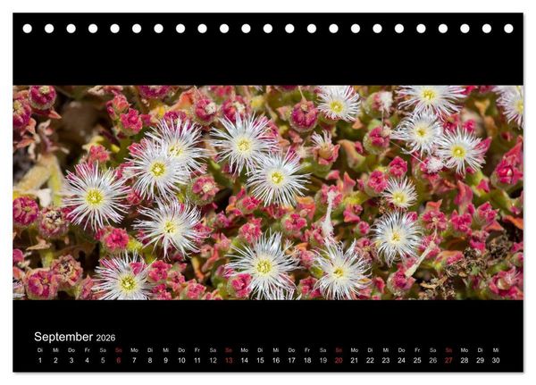 Produktbild: La Gomera - Kanarisches Naturparadies (Tischkalender 2026 DIN A5 quer), CALVENDO Monatskalender