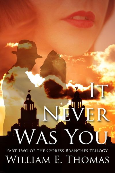 Produktbild: It Never Was You