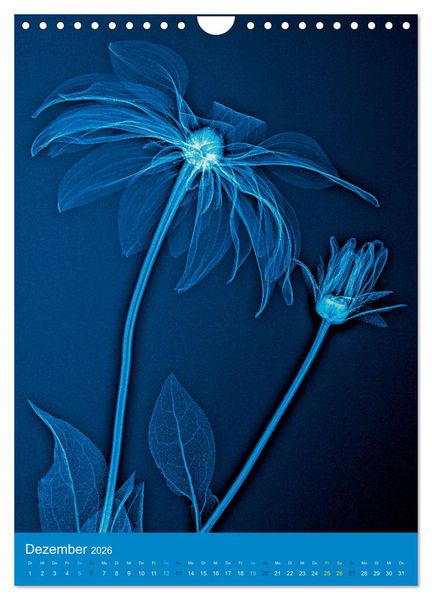 Produktbild: Durchleuchtete Blumenwelt 2026 (Wandkalender 2026 DIN A4 hoch), CALVENDO Monatskalender