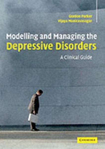 Produktbild: Modelling and Managing the Depressive Disorders