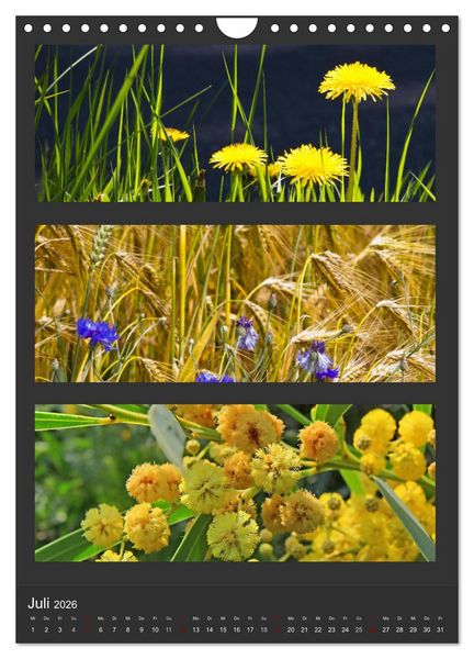 Produktbild: Naturfarben entdecken (Wandkalender 2026 DIN A4 hoch), CALVENDO Monatskalender