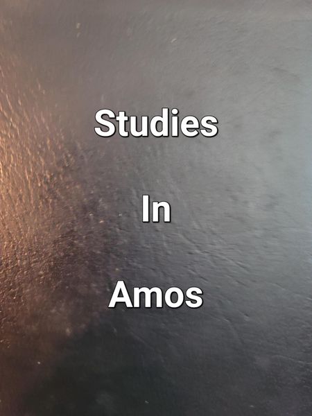 Produktbild: Studies In Amos